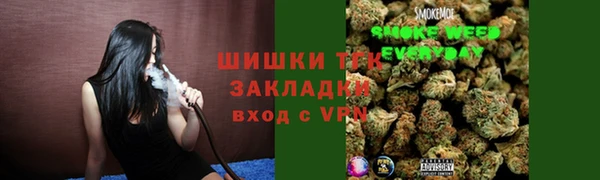 тгк Абаза