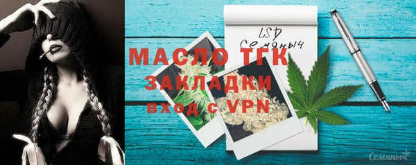 тгк Абаза