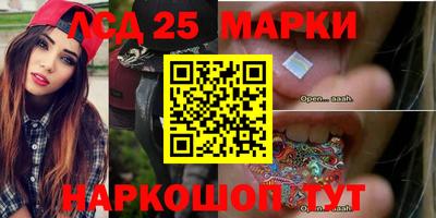 прущие грибы Шахты
