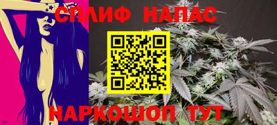 прущие грибы Шахты