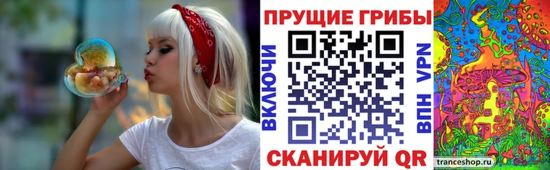 ссылка на мегу ТОР Истра Псилоцибиновые грибы Cubensis
