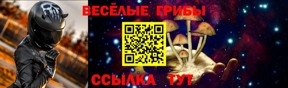 Галлюциногенные грибы Psilocybe Истра